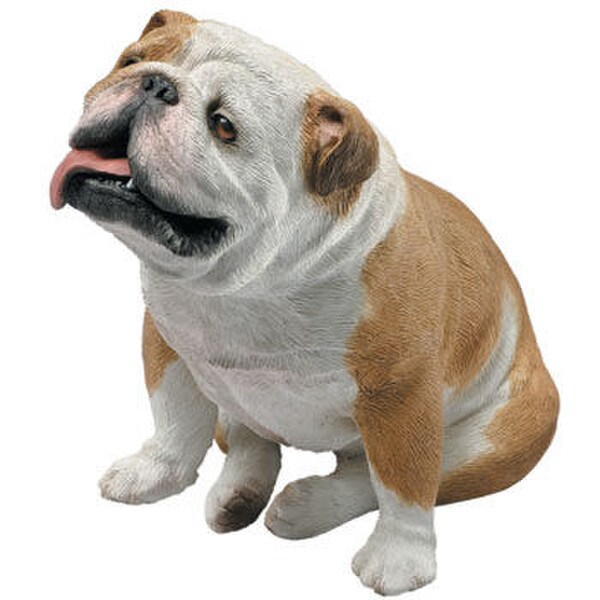 Bulldog Fawn Sitting Dog Sculpture Decorative Breeds Sculptural Real
